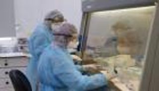 فلسطين تعلن شفاء نصف مصابي فيروس كورونا