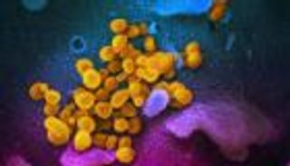 40 عاما على استئصال الجدري.. قتل 300 مليون وهزمه التعاون الدولي