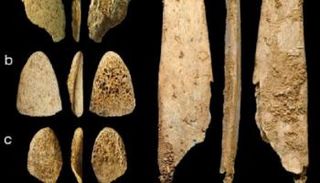 الأدوات التي استخدمها الإنسان البدائي