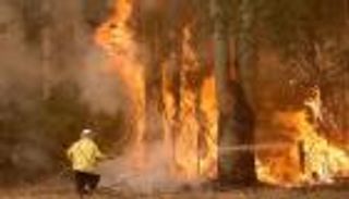 1300 رجل إطفاء في مواجهة حريق غابات بالصين