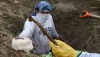 كلب يقود لاكتشاف مقبرة سرية في المكسيك.. تضم 25 جثة