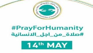 دعوة اللجنة العليا للأخوة الإنسانية تلقى قبولا عالميا