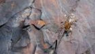 الأكسجين موجود على الأرض منذ ملياري عام.. صخور تكشف السر