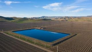 إحدى مزارع الظاهرة في صربيا