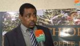 السعودية تتصدر قائمة أكبر مستوردي البن الإثيوبي في العالم