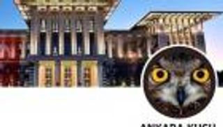 "طائر أنقرة" مهدد بالسجن في تركيا