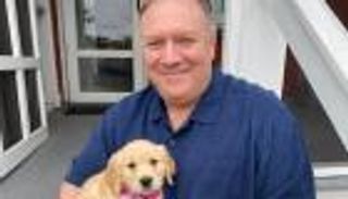 "نزهة كلب بومبيو" والحرب النووية.. ترامب يدخل على خط الأزمة