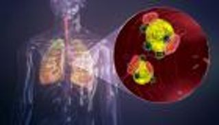 كورونا "يختطف" خلايا الجسم و"يقرصن" جهاز المناعة