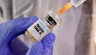 نتائج أولية مبشرة للقاحات كورونا.. القرود تحصنت ضد العدوى