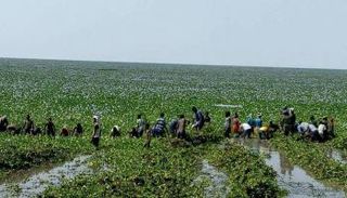  ويهدد بالانتشار أكثر 