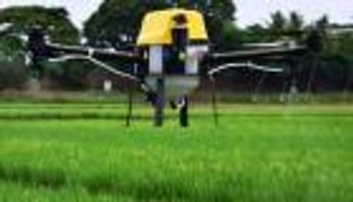 الأسوأ منذ 30 عاما.. الهند تصد هجوم الجراد بالدرونز