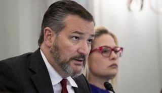 السيناتور الجمهوري تيد كروز 