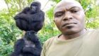 غوريلا تلتقط سيلفي مع حارسها