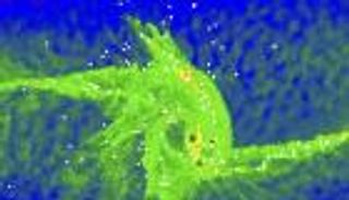 أصل الثقوب السوداء.. نظرية جديدة 