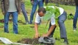 "البصمة الخضراء" لآبي أحمد تتحدى كورونا بـ5 مليارات شتلة