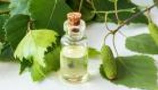 سر جمال شعرك وبشرتك في زيت البتولا