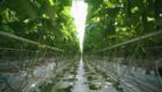 نسيج جديد لتصنيع الكهرباء من المطر