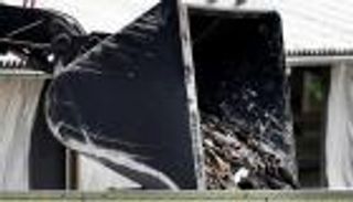 هولندا تعدم مئات الآلاف من حيوانات المينك خشية كورونا