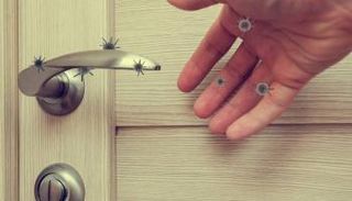 يجب تطهير الأسطح جيدا للحماية من الفيروسات