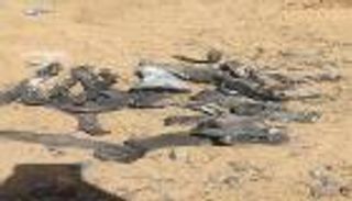 التحالف العربي يعترض صاروخا أطلقه الحوثيون باتجاه السعودية
