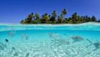 هل فات الأوان لإنقاذ المحيطات؟