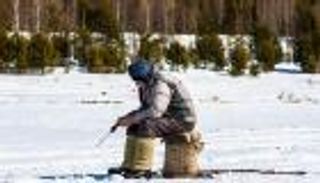 فاتورة التغير المناخي الباهضة.. إجلاء وحرائق وحشرات فتاكة