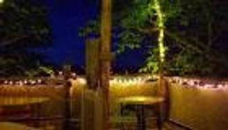 مطعم على الأشجار.. أحدث "تقاليع" مواجهة كورونا