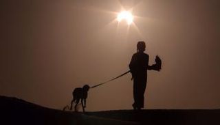 صورة أرشيفية