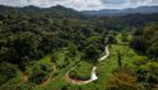 غابات "لا موسكيتيا".. مخبأ الحيوانات المنقرضة في هندوراس