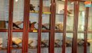 "بلال".. متحف يجسد التراث الإسلامي في إثيوبيا