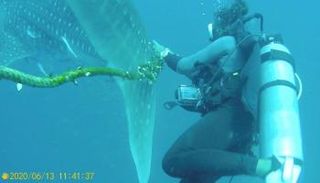 الغواص يحاول قطع الحبل بالسكين