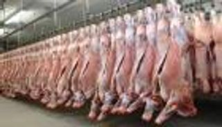 صادرات اللحوم والألبان الإثيوبية تتجاوز آلام كورونا رغم التراجع