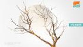 إنفوجراف.. اليوم العالمي لمكافحة التصحر والجفاف