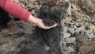 كتلة من الفحم داخل صخور بمنطقة الفخاخ السيبيرية