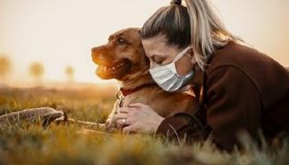 الحيوانات قد تصبح مستودعات لفيروس كورونا - ديلي ميل