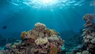 قاع المحيطات  - أرشيفية