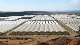 إليك بعضا من أهمية الأغوار الفلسطينية اقتصاديا