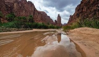 مدينة تبوك السعودية