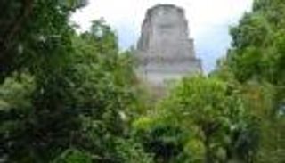 مركبات سامة في خزانات "مايا القديمة".. مياه ملوثة بالزئبق والطحالب