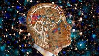 "التلفيف المسنن" يتلف لدى المصابين بمرض ألزهايمر