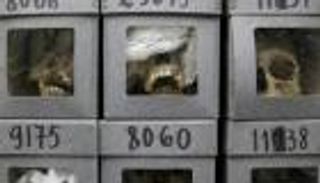 الجزائر تسترجع "الجماجم" وتنهي "أزمة الذاكرة" مع فرنسا