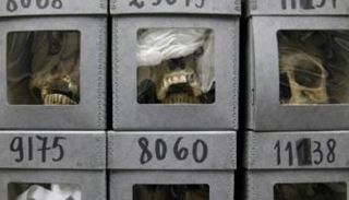 رفات شهداء المقاومة الجزائرية في متحف فرنسي - أرشيفية