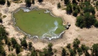 مخاوف من نفوق المزيد من الفيلة خلال الفترة القادمة