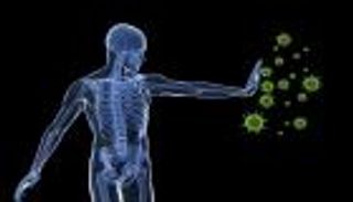 أغذية الزنك في روشتة تعزيز المناعة لمواجهة كورونا