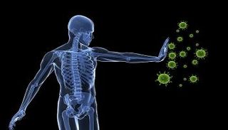 الأغذية الغنية بالزنك والفيتامينات تقوي المناعة لمواجهة كورونا