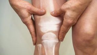 علماء يبتكرون بديلا اصطناعيا لغضروف الركبة