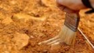 اكتشاف سمكة من عصر الديناصورات.. آكلة للحوم وطولها 6 أمتار