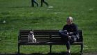 طريقة جديدة لحساب العمر الحقيقي للكلاب