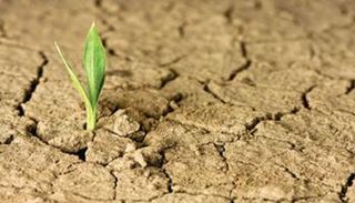 الجفاف أحد أسباب ارتفاع درجة حرارة الأرض