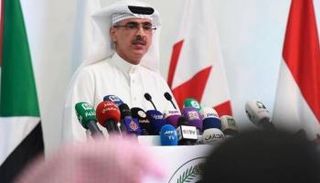 المستشار منصور المنصور